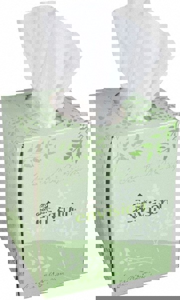 Pacific Blue Basic 2-Ply Facial Tissue Cube